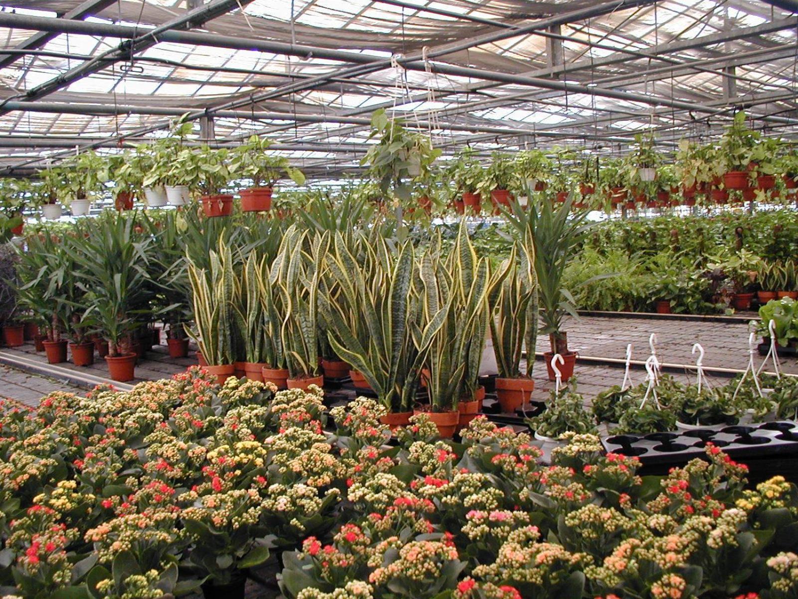 Societa Agricola Mg Florplant Villa Francavilla Marittima ภายนอก รูปภาพ